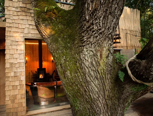 A freestanding bath on the deck beside the ancient oak