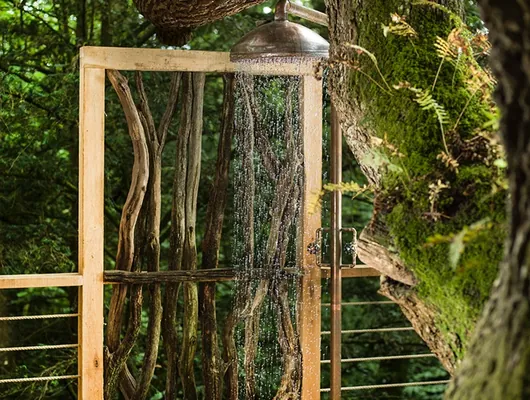 The outdoor tree shower among the leaves