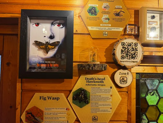 Honeycomb display cases inside the Bee Museum at Cedar Hollow Oxford