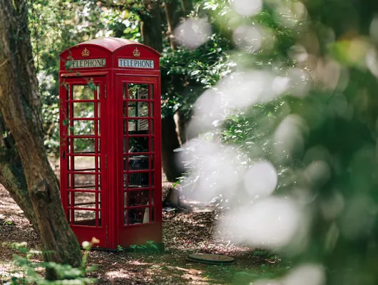 The red telephone box in the woodland, home of the Call Beyond the Lamp Post escape game