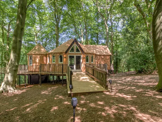 The Oxford treehouse on its stilts in the woodland