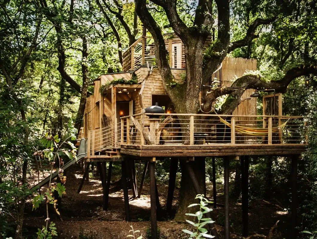 The Woodsman's Treehouse in the ancient oak at Cedar Hollow Dorset