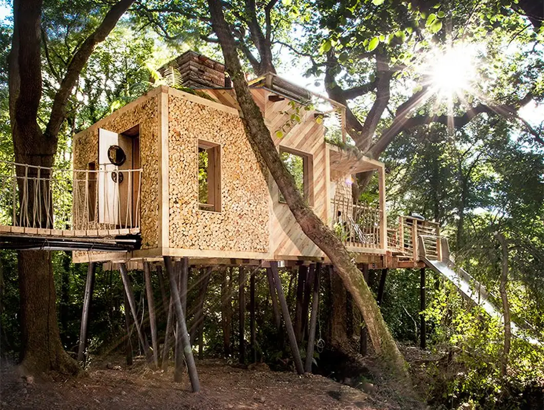 Evening sun through the canopy around the treehouse