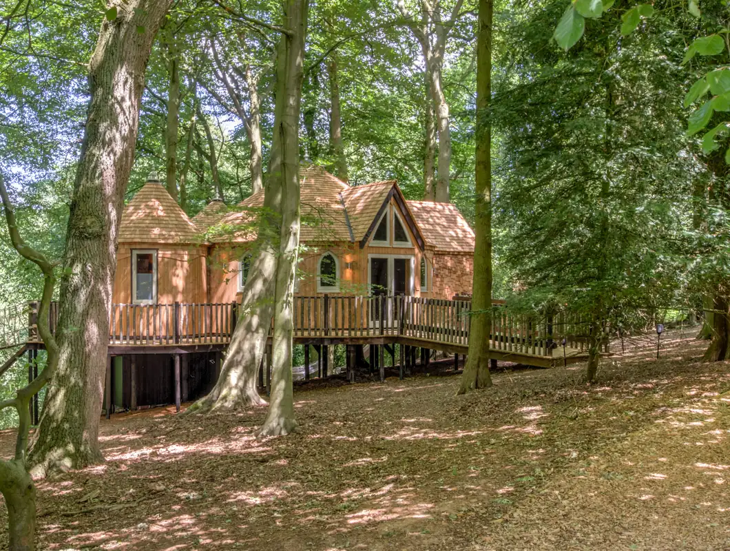 The oak-framed treehouse on its raised deck among the beeches at Cedar Hollow Oxford