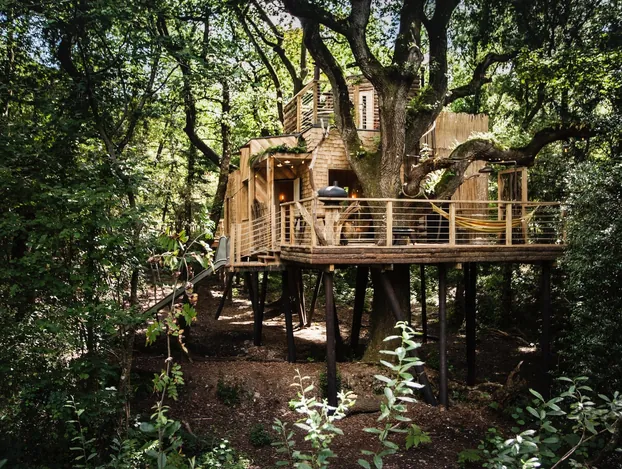 The Woodsman's Treehouse raised on stilts among the oaks at Cedar Hollow Dorset