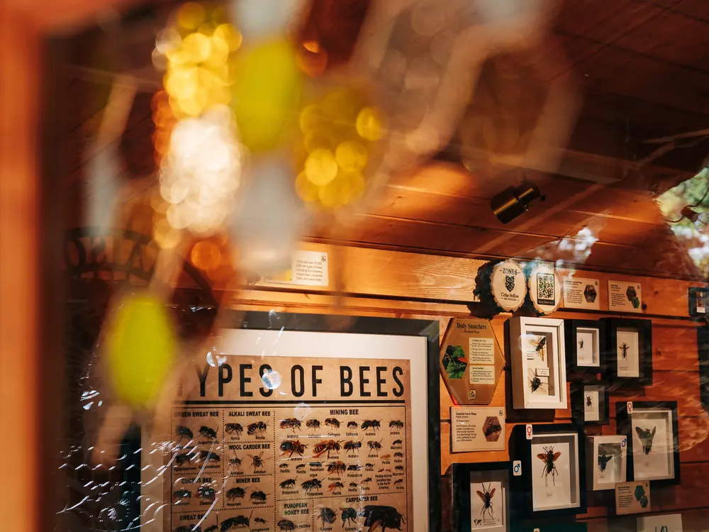 The Bee Museum at Cedar Hollow Oxford, 2 of 8