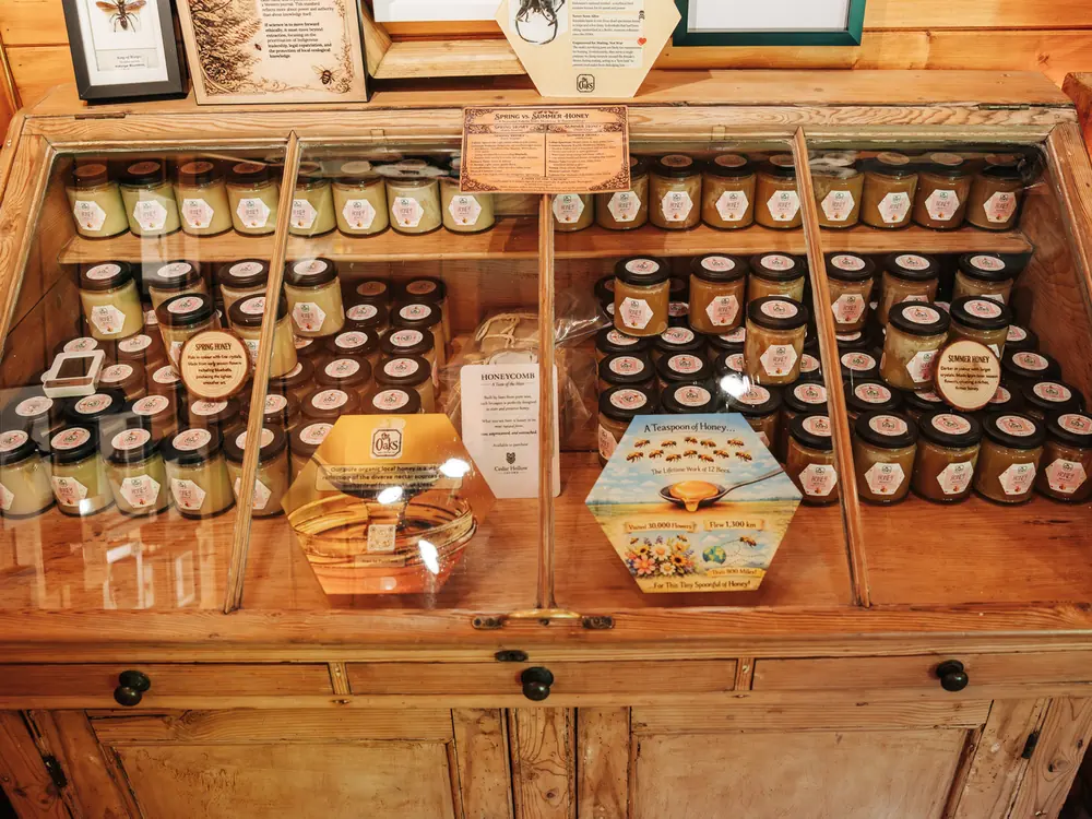 The Bee Museum at Cedar Hollow Oxford, 3 of 8
