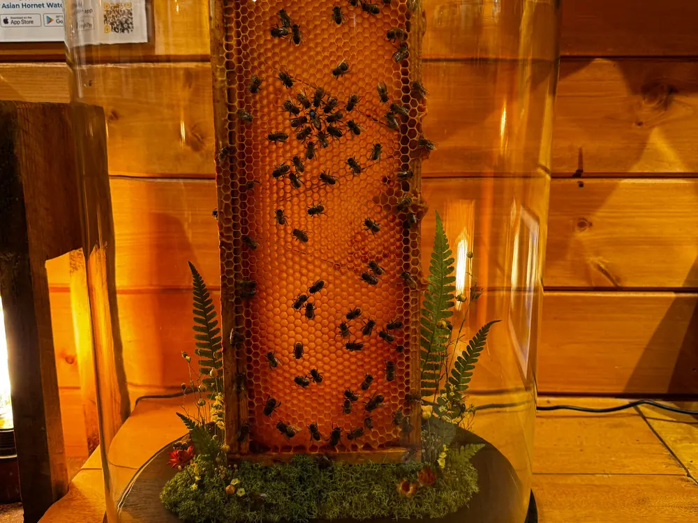 The Bee Museum at Cedar Hollow Oxford, 7 of 8