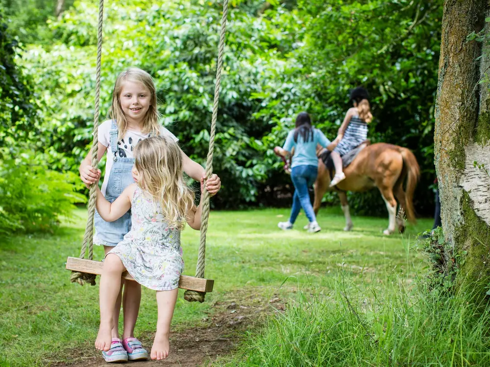 The trampoline, slackline, swings and zipline at Cedar Hollow Oxford, 5 of 10