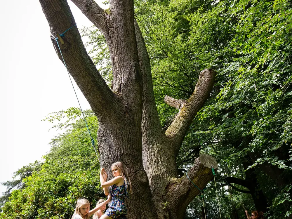 The trampoline, slackline, swings and zipline at Cedar Hollow Oxford, 7 of 10