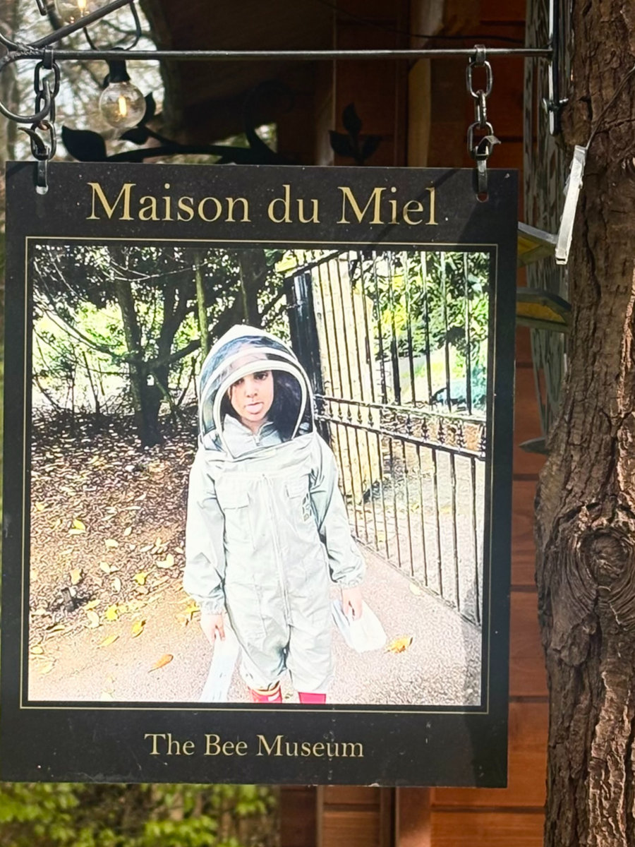 Inside the Bee Museum