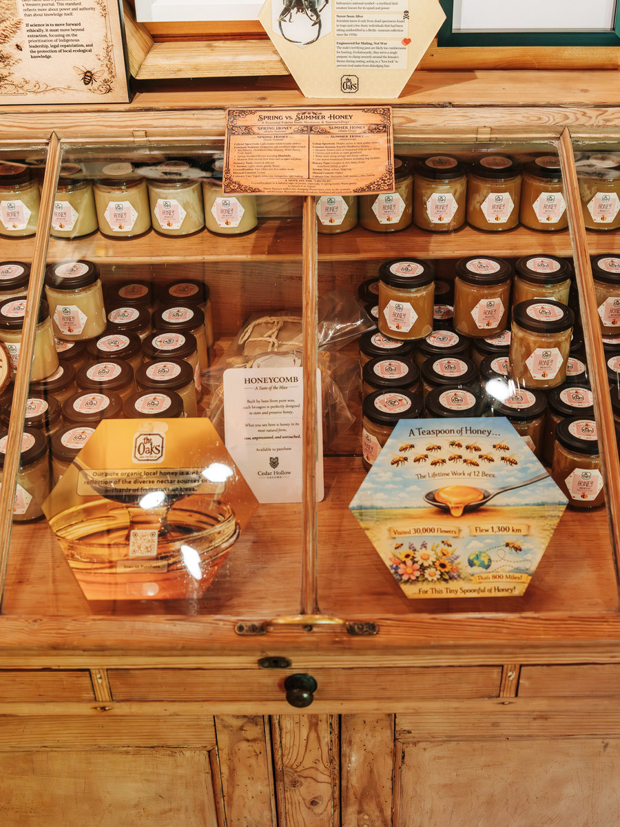 The Bee Museum displays