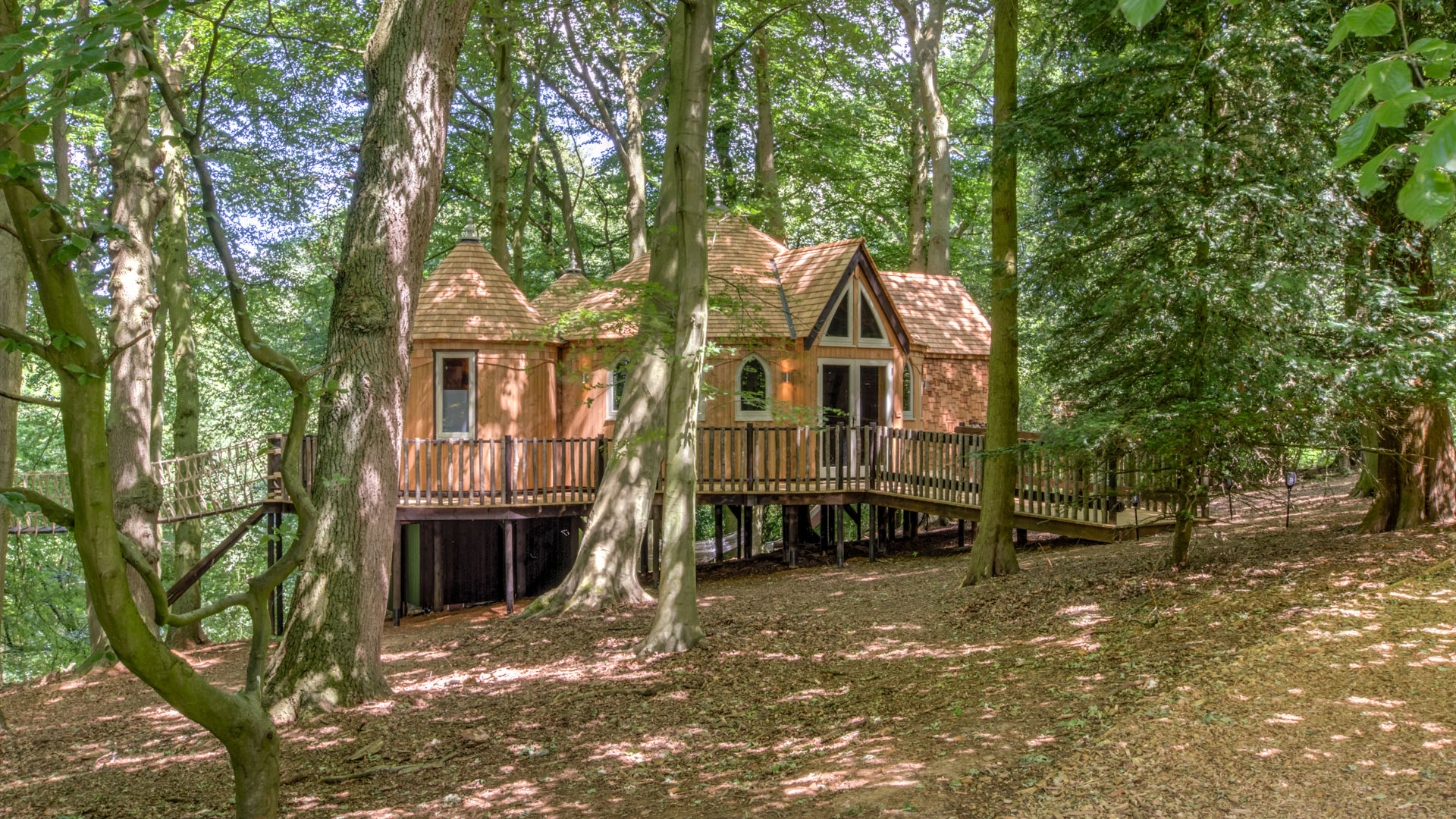 The Cedar Hollow treehouse among the trees