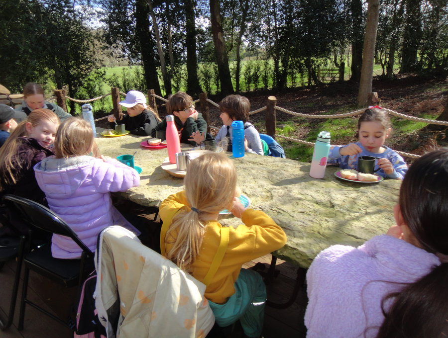 A school picnic lunch at Cedar Hollow Oxford