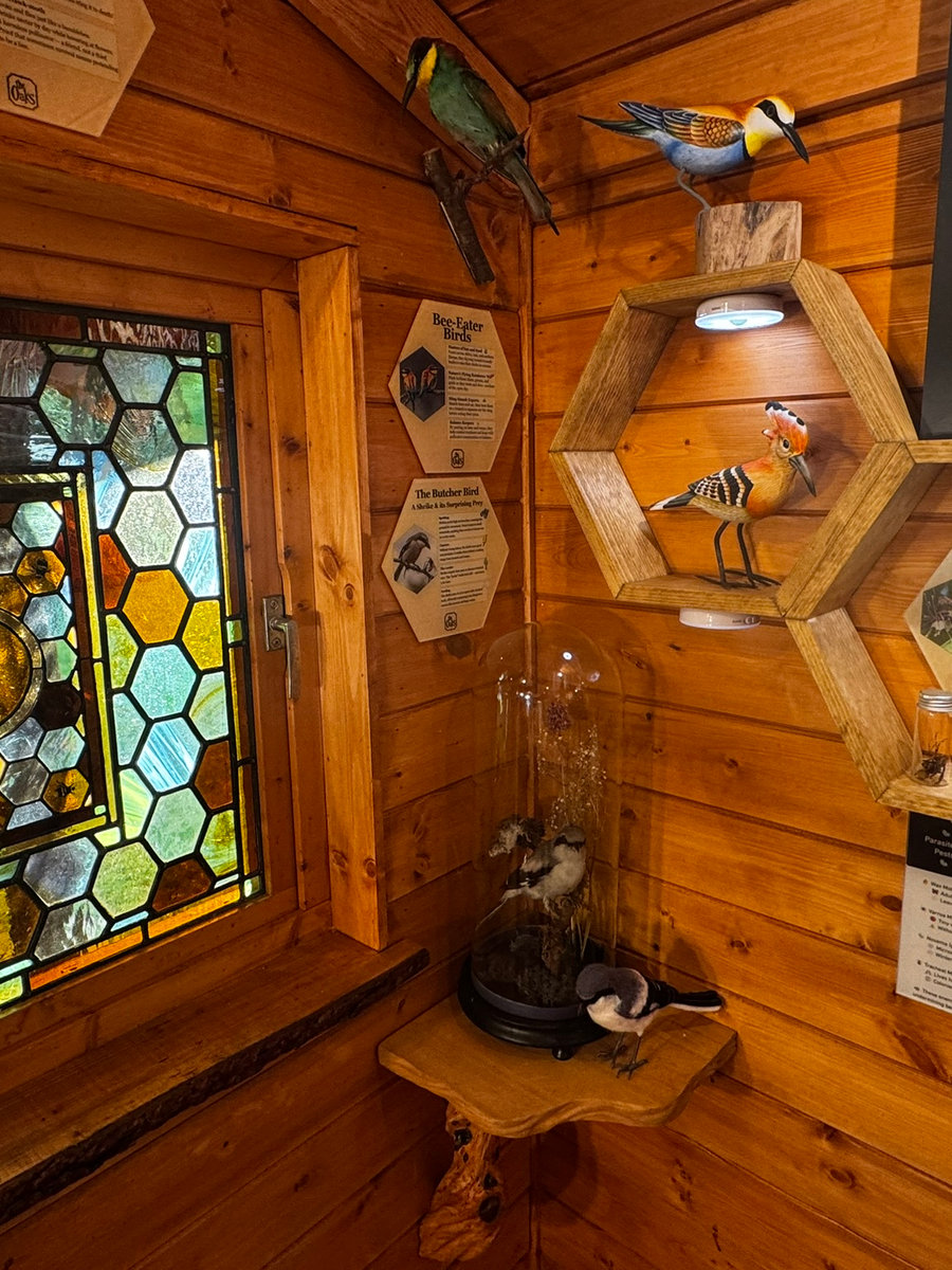 Enemies of the hive display