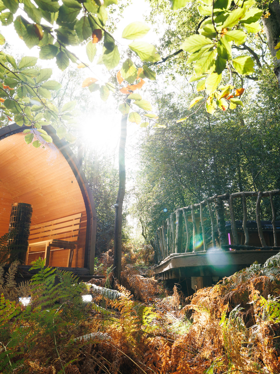 Jacuzzi among the trees