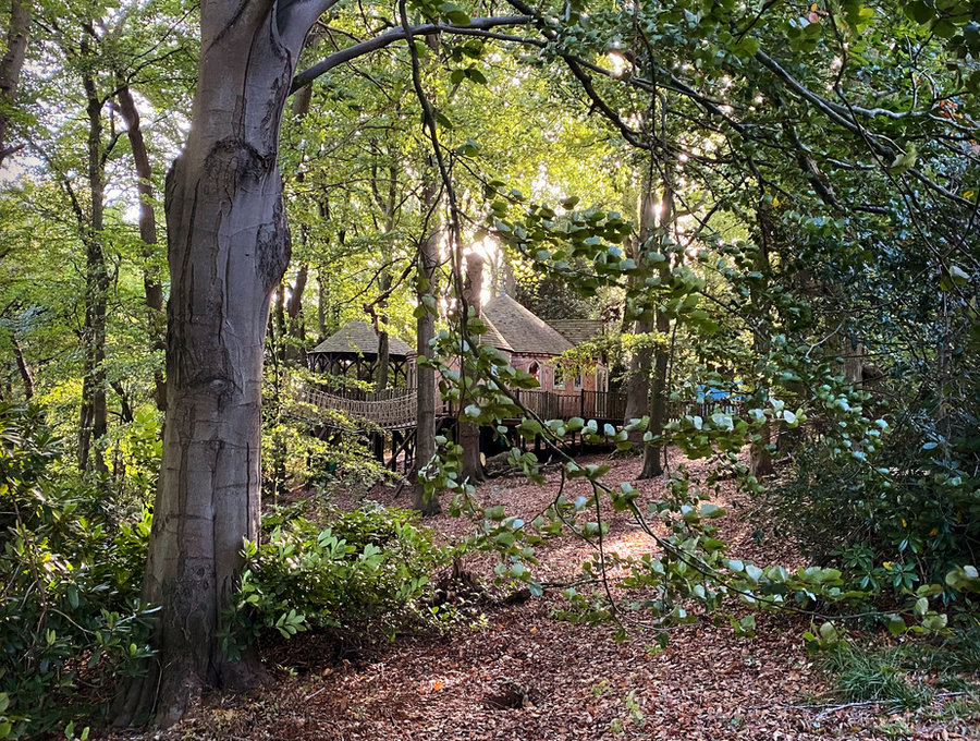 Treehouse From the Woods