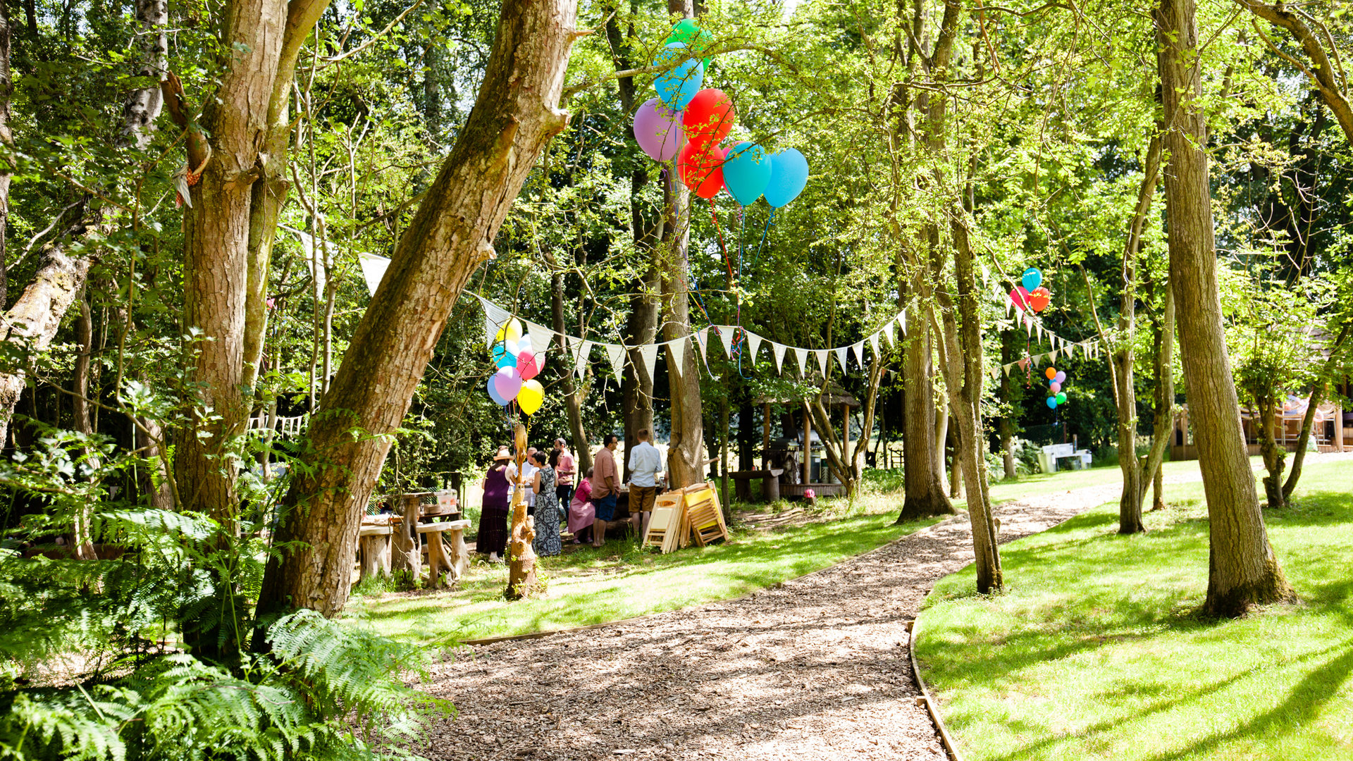 The woodland at Cedar Hollow Oxford