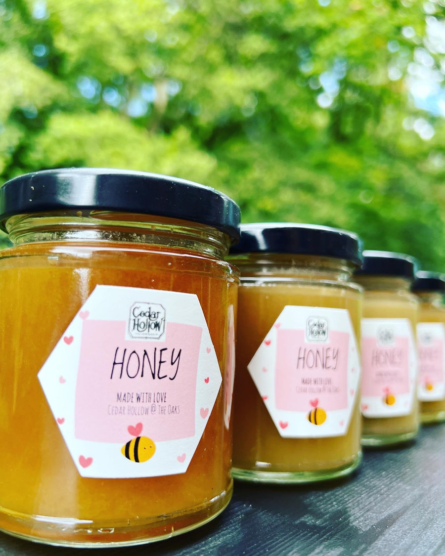 Cedar Hollow Honey (227g)