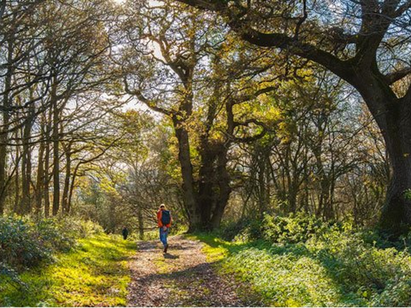 A walk in Shotover Country Park