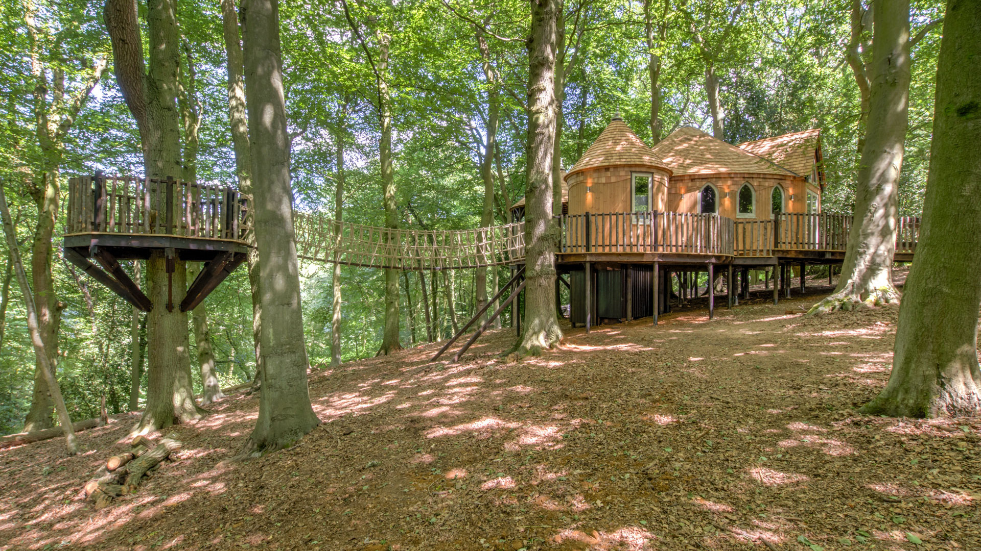 The Cedar Hollow Treehouse