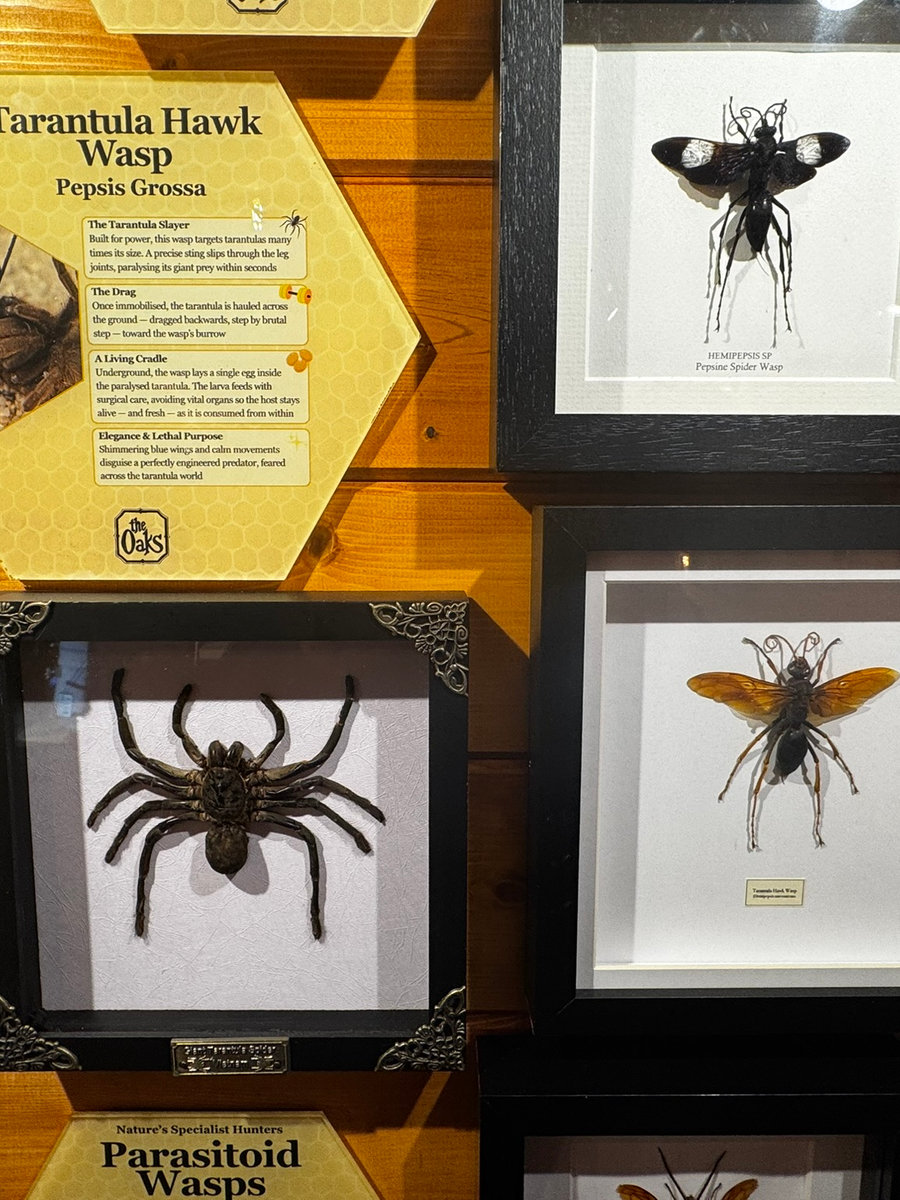Nature's grim reapers display