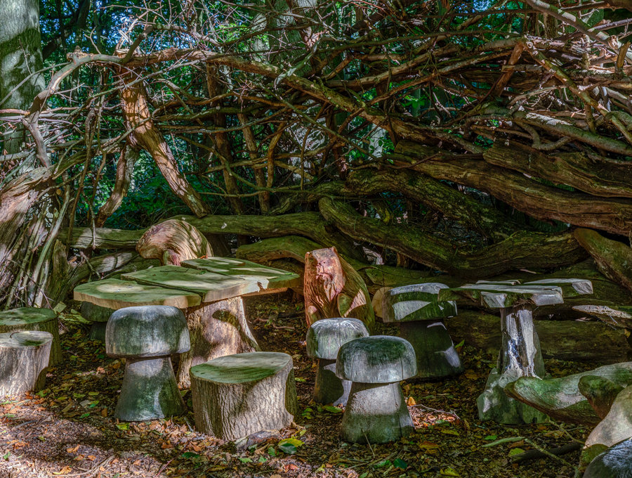 Beavers Den