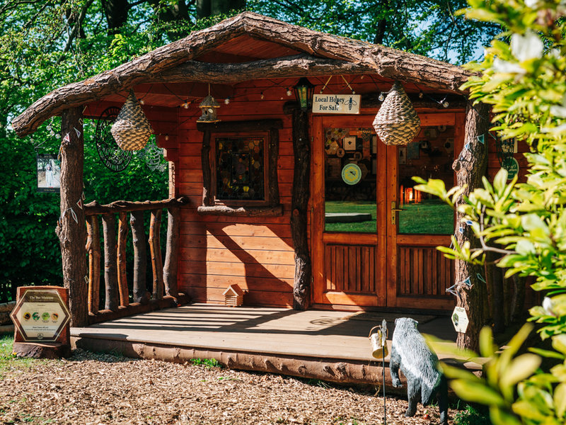 The Bee Museum
