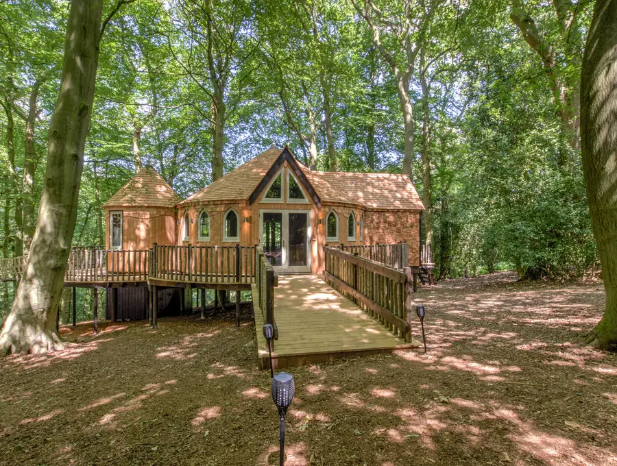 The treehouse among the trees