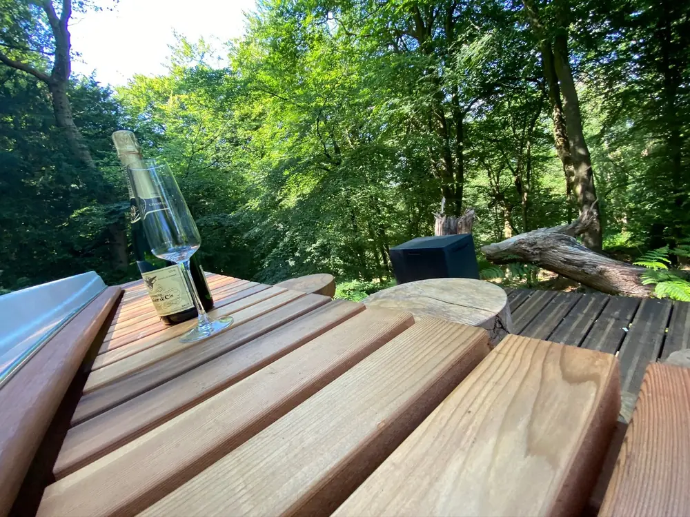 The bastu's benches and the woodland beyond