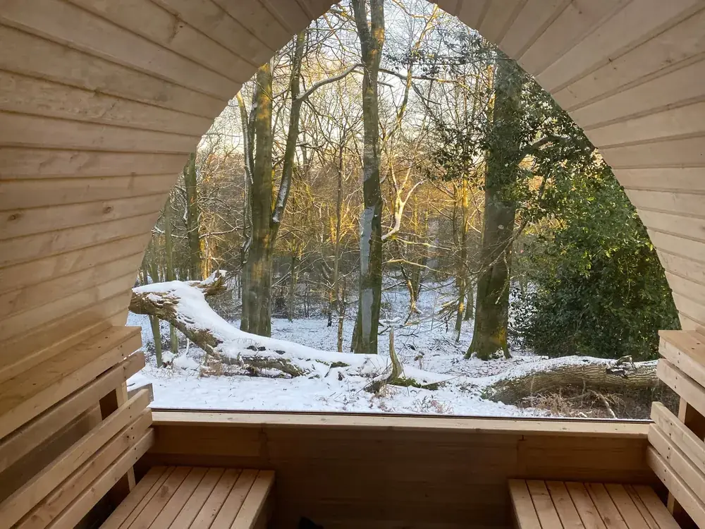 Snow in the trees, seen from inside the bastu