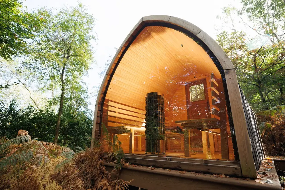 The bastu from outside, among the ferns