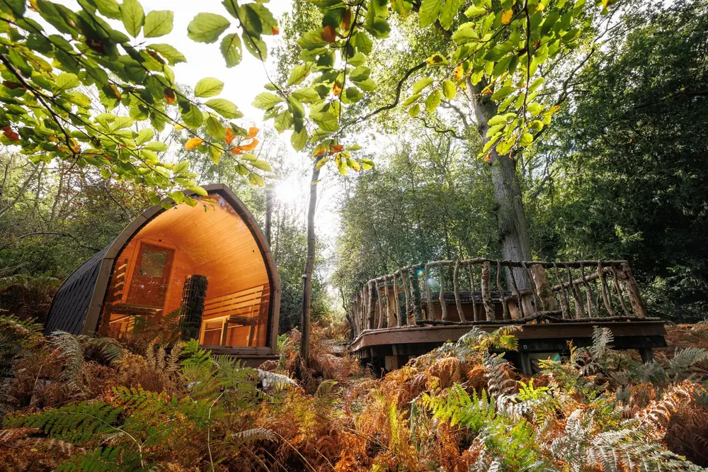 The bastu in the woodland