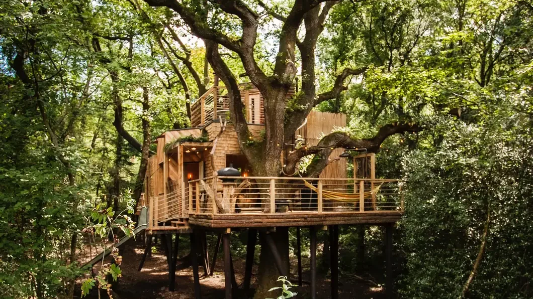 A treehouse raised on stilts among the oaks, its deck lit under the canopy